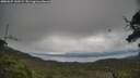 ./images/calvert/fitz-hugh-hecate/20250625/fitz-hugh-hecate20250625_143509M.jpg