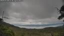 ./images/calvert/fitz-hugh-hecate/20250625/fitz-hugh-hecate20250625_145509M.jpg