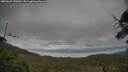 ./images/calvert/fitz-hugh-hecate/20250625/fitz-hugh-hecate20250625_150012M.jpg