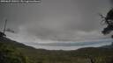 ./images/calvert/fitz-hugh-hecate/20250625/fitz-hugh-hecate20250625_150511M.jpg