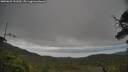 ./images/calvert/fitz-hugh-hecate/20250625/fitz-hugh-hecate20250625_151010M.jpg