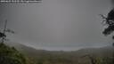 ./images/calvert/fitz-hugh-hecate/20250625/fitz-hugh-hecate20250625_152510M.jpg