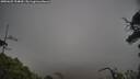 ./images/calvert/fitz-hugh-hecate/20250625/fitz-hugh-hecate20250625_154010M.jpg
