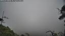 ./images/calvert/fitz-hugh-hecate/20250625/fitz-hugh-hecate20250625_155010M.jpg