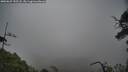 ./images/calvert/fitz-hugh-hecate/20250625/fitz-hugh-hecate20250625_155508M.jpg