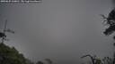./images/calvert/fitz-hugh-hecate/20250625/fitz-hugh-hecate20250625_160010M.jpg