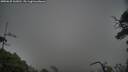./images/calvert/fitz-hugh-hecate/20250625/fitz-hugh-hecate20250625_162011M.jpg