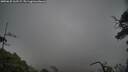./images/calvert/fitz-hugh-hecate/20250625/fitz-hugh-hecate20250625_162509M.jpg