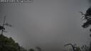 ./images/calvert/fitz-hugh-hecate/20250625/fitz-hugh-hecate20250625_163010M.jpg