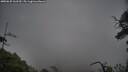 ./images/calvert/fitz-hugh-hecate/20250625/fitz-hugh-hecate20250625_163510M.jpg