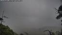 ./images/calvert/fitz-hugh-hecate/20250625/fitz-hugh-hecate20250625_164009M.jpg