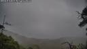 ./images/calvert/fitz-hugh-hecate/20250625/fitz-hugh-hecate20250625_164509M.jpg