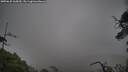 ./images/calvert/fitz-hugh-hecate/20250625/fitz-hugh-hecate20250625_165010M.jpg