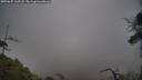 ./images/calvert/fitz-hugh-hecate/20250625/fitz-hugh-hecate20250625_165508M.jpg