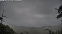 ./images/calvert/fitz-hugh-hecate/20250625/fitz-hugh-hecate20250625_172508M.jpg