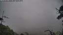 ./images/calvert/fitz-hugh-hecate/20250625/fitz-hugh-hecate20250625_175508M.jpg