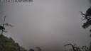 ./images/calvert/fitz-hugh-hecate/20250625/fitz-hugh-hecate20250625_180010M.jpg