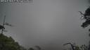 ./images/calvert/fitz-hugh-hecate/20250625/fitz-hugh-hecate20250625_181007M.jpg