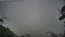 ./images/calvert/fitz-hugh-hecate/20250625/fitz-hugh-hecate20250625_181510M.jpg