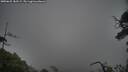 ./images/calvert/fitz-hugh-hecate/20250625/fitz-hugh-hecate20250625_183509M.jpg