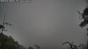 ./images/calvert/fitz-hugh-hecate/20250625/fitz-hugh-hecate20250625_184010M.jpg