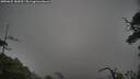 ./images/calvert/fitz-hugh-hecate/20250625/fitz-hugh-hecate20250625_184510M.jpg