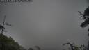 ./images/calvert/fitz-hugh-hecate/20250625/fitz-hugh-hecate20250625_185010M.jpg