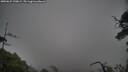 ./images/calvert/fitz-hugh-hecate/20250625/fitz-hugh-hecate20250625_190009M.jpg