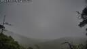 ./images/calvert/fitz-hugh-hecate/20250625/fitz-hugh-hecate20250625_191509M.jpg