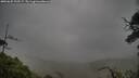 ./images/calvert/fitz-hugh-hecate/20250625/fitz-hugh-hecate20250625_192507M.jpg