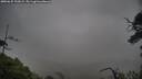 ./images/calvert/fitz-hugh-hecate/20250625/fitz-hugh-hecate20250625_193009M.jpg