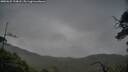 ./images/calvert/fitz-hugh-hecate/20250625/fitz-hugh-hecate20250625_194008M.jpg