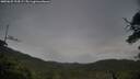 ./images/calvert/fitz-hugh-hecate/20250625/fitz-hugh-hecate20250625_194507M.jpg