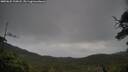 ./images/calvert/fitz-hugh-hecate/20250625/fitz-hugh-hecate20250625_200008M.jpg