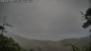 ./images/calvert/fitz-hugh-hecate/20250625/fitz-hugh-hecate20250625_202008M.jpg