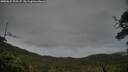 ./images/calvert/fitz-hugh-hecate/20250625/fitz-hugh-hecate20250625_202506M.jpg