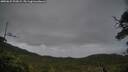 ./images/calvert/fitz-hugh-hecate/20250625/fitz-hugh-hecate20250625_203009M.jpg