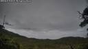 ./images/calvert/fitz-hugh-hecate/20250625/fitz-hugh-hecate20250625_203508M.jpg
