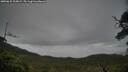 ./images/calvert/fitz-hugh-hecate/20250625/fitz-hugh-hecate20250625_204009M.jpg