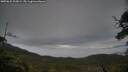 ./images/calvert/fitz-hugh-hecate/20250625/fitz-hugh-hecate20250625_205009M.jpg
