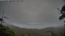 ./images/calvert/fitz-hugh-hecate/20250625/fitz-hugh-hecate20250625_210009M.jpg