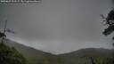 ./images/calvert/fitz-hugh-hecate/20250625/fitz-hugh-hecate20250625_211507M.jpg