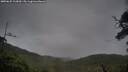 ./images/calvert/fitz-hugh-hecate/20250625/fitz-hugh-hecate20250625_213009M.jpg