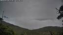 ./images/calvert/fitz-hugh-hecate/20250625/fitz-hugh-hecate20250625_213507M.jpg