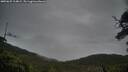 ./images/calvert/fitz-hugh-hecate/20250625/fitz-hugh-hecate20250625_214009M.jpg