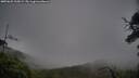 ./images/calvert/fitz-hugh-hecate/20250625/fitz-hugh-hecate20250625_215009M.jpg