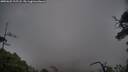 ./images/calvert/fitz-hugh-hecate/20250625/fitz-hugh-hecate20250625_215508M.jpg
