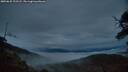 ./images/calvert/fitz-hugh-hecate/20250625/fitz-hugh-hecate20250625_222508M.jpg