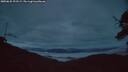 ./images/calvert/fitz-hugh-hecate/20250625/fitz-hugh-hecate20250625_223509M.jpg