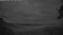 ./images/calvert/fitz-hugh-hecate/20250625/fitz-hugh-hecate20250625_224508M.jpg